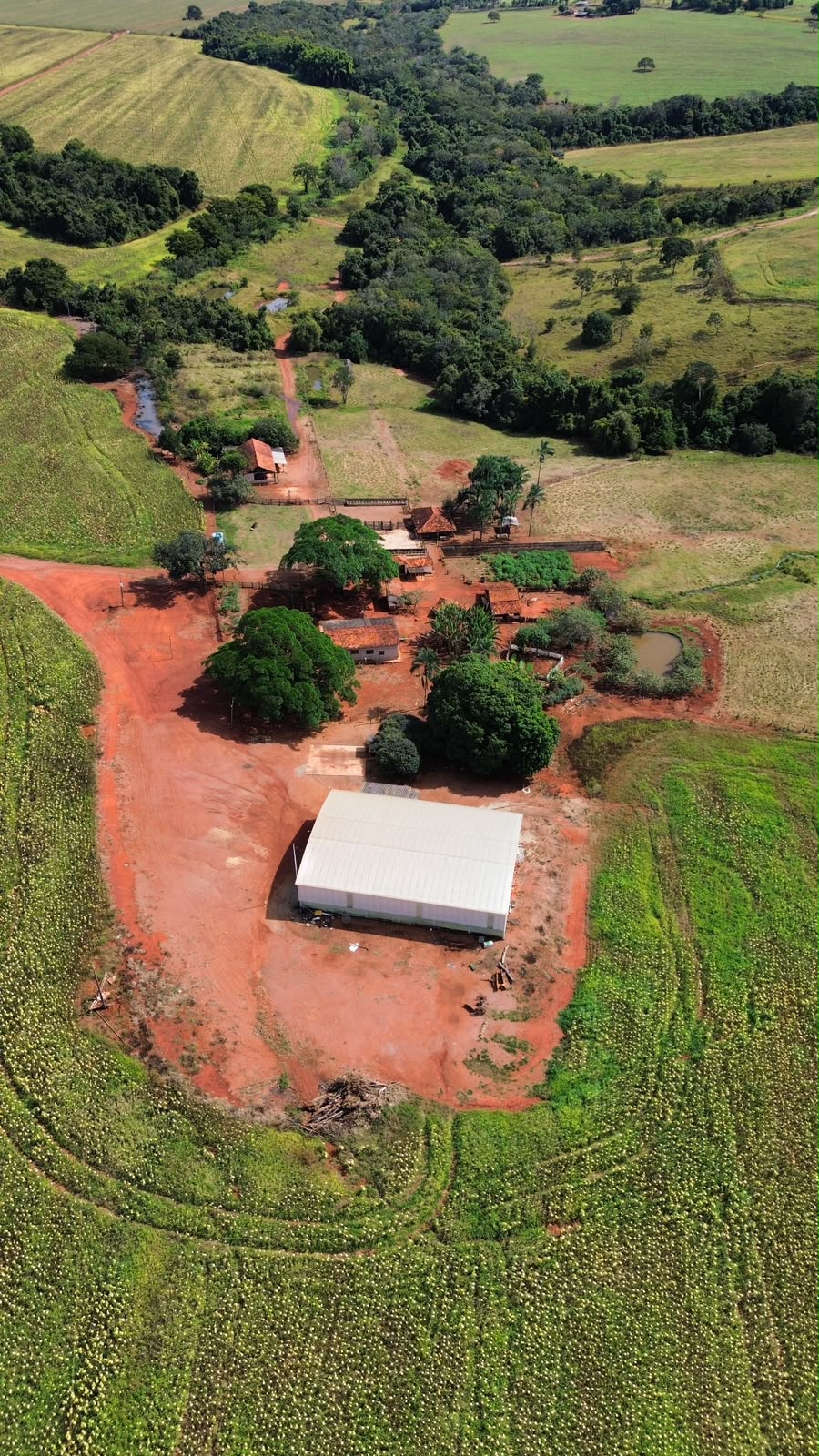 Fazenda 164 Alqueires com Lavoura, Irrigação e Estrutura Completa